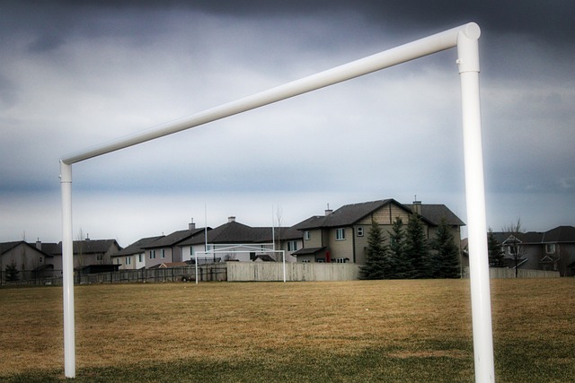 占据主动 占据主动