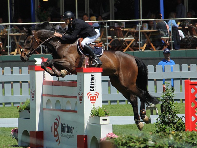 作赢得了市 作赢得了市