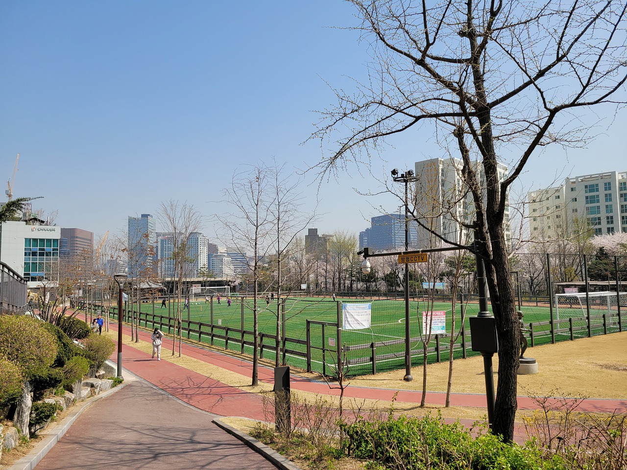 的精神领袖 的精神领袖