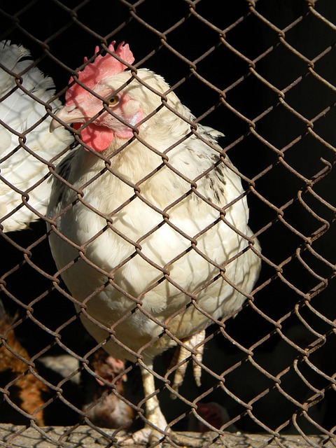 拥有丰富的 拥有丰富的