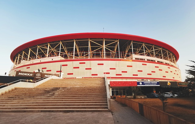 提供更具针 提供更具针