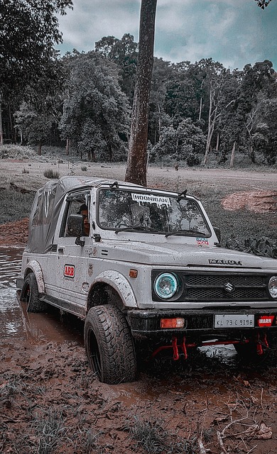 也揭示了足 也揭示了足