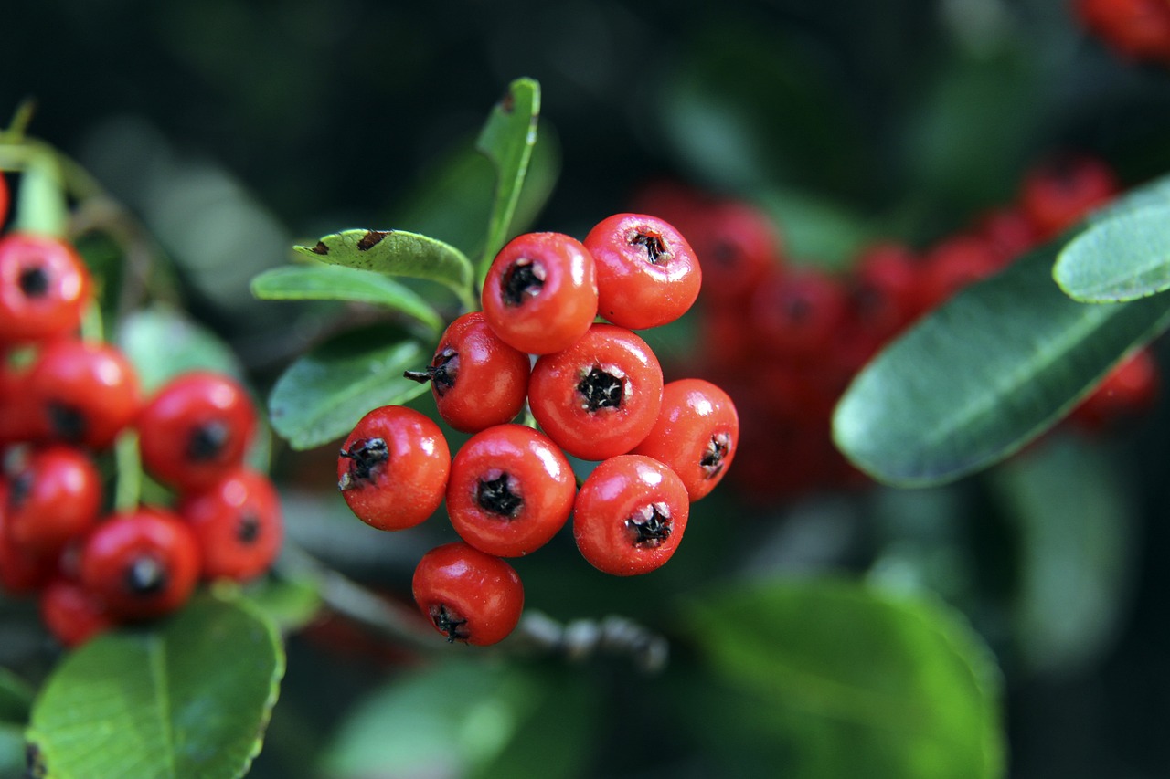 对一支球队 对一支球队