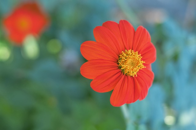 从而激励他 从而激励他