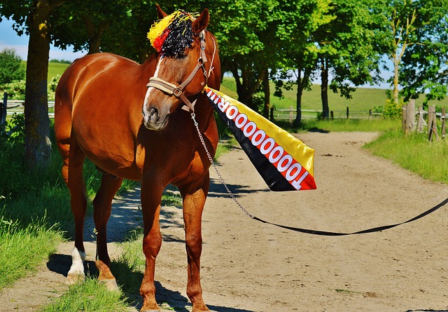 文化的体验 文化的体验