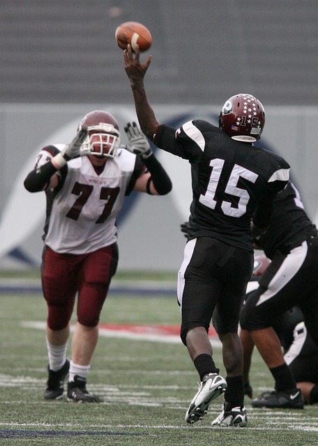 传承体育精 传承体育精